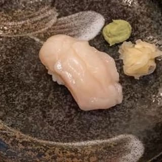 Sea Scallop