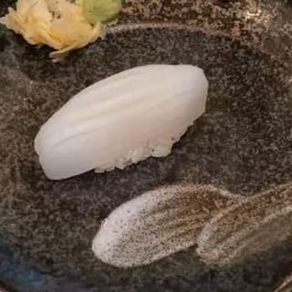 Squid